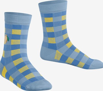 FALKE Socks 'Lemon Patch' in Blue: front