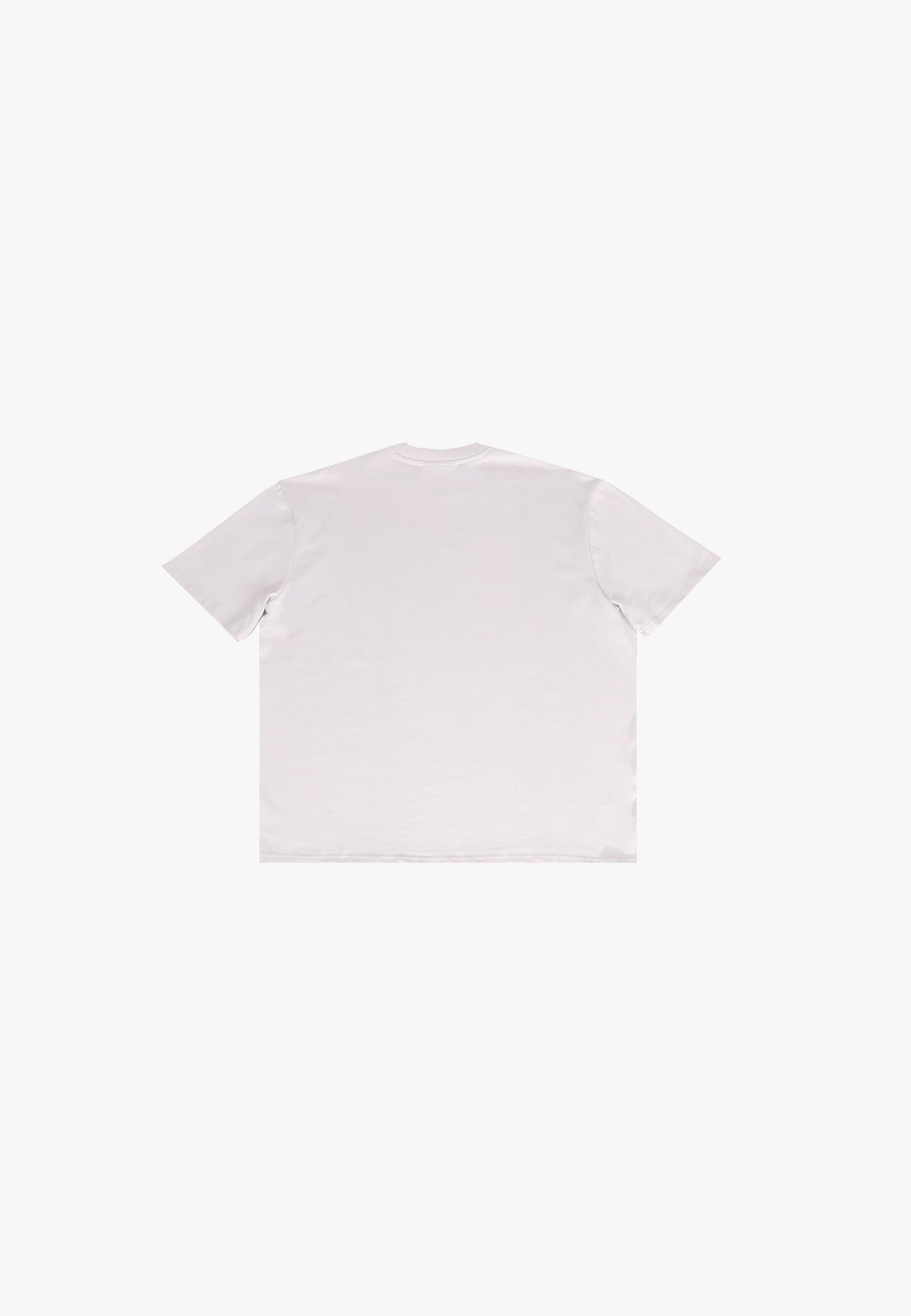 T-Shirt Dropsize en gris