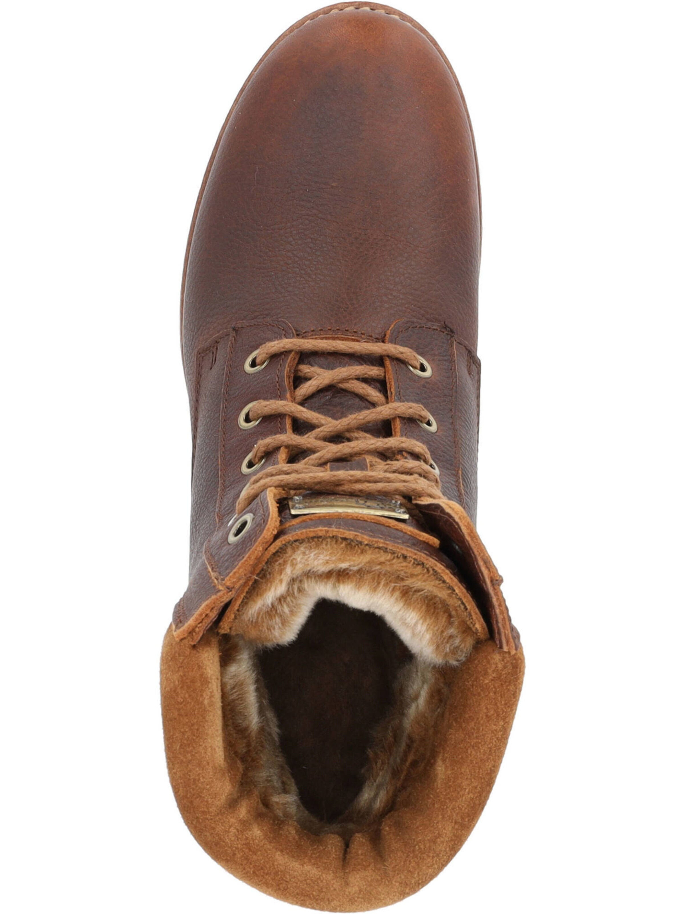 PANAMA JACK Ботинки на шнуровке 'Phoebe' в Коричневый