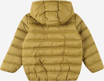 UNITED COLORS OF BENETTON Winter Jacket in Green