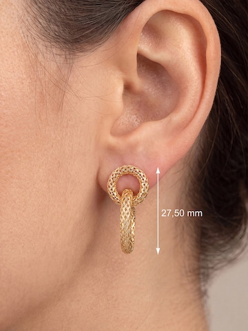 Jobo Earrings in Gold