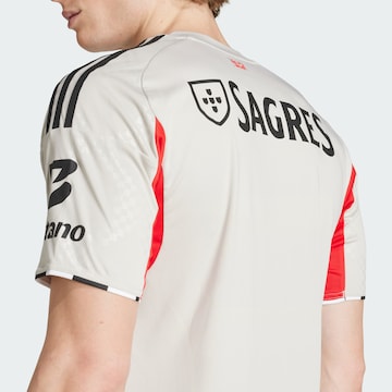 ADIDAS PERFORMANCE - Camisola de futebol 'Benfica Lissabon 25/26' em bege