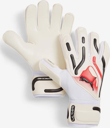 PUMA Athletic Gloves in Beige: front