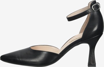 Paul Green Pumps in Zwart