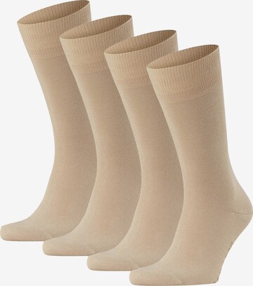 Chaussettes FALKE en beige : devant