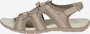 CAPRICE Hiking Sandals in Beige