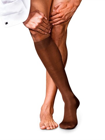FALKE Knee High Socks 'No. 9 Pure Fil d´Écosse' in Brown
