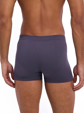 FALKE Boxershorts 'Seamless'‌‌‌‌‌‌‌ in Grau