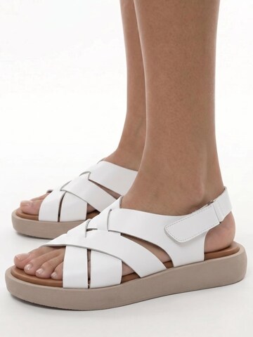 Maciejka Sandals in White