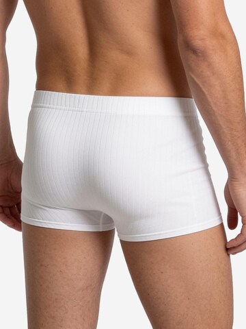 SPEIDEL Boxershorts 'Sky.line'‌‌‌‌‌‌‌ in Weiß