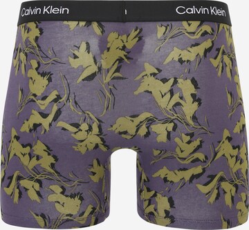 Calvin Klein Underwear Шорты Боксеры в Зеленый
