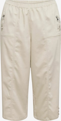 Wasabi Concept Regular Broek in Beige: voorkant