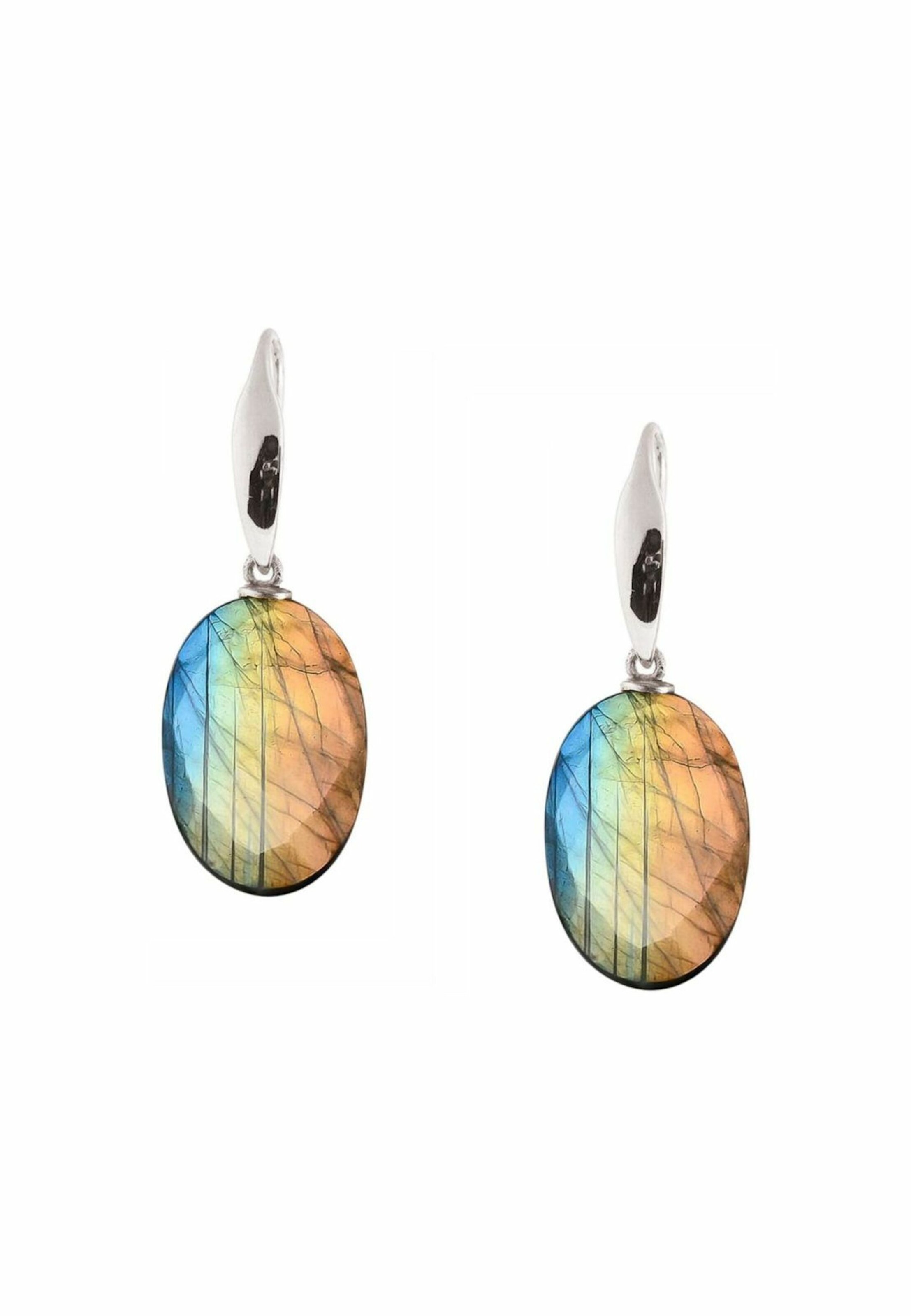 Gemshine Oorbellen in Zilver