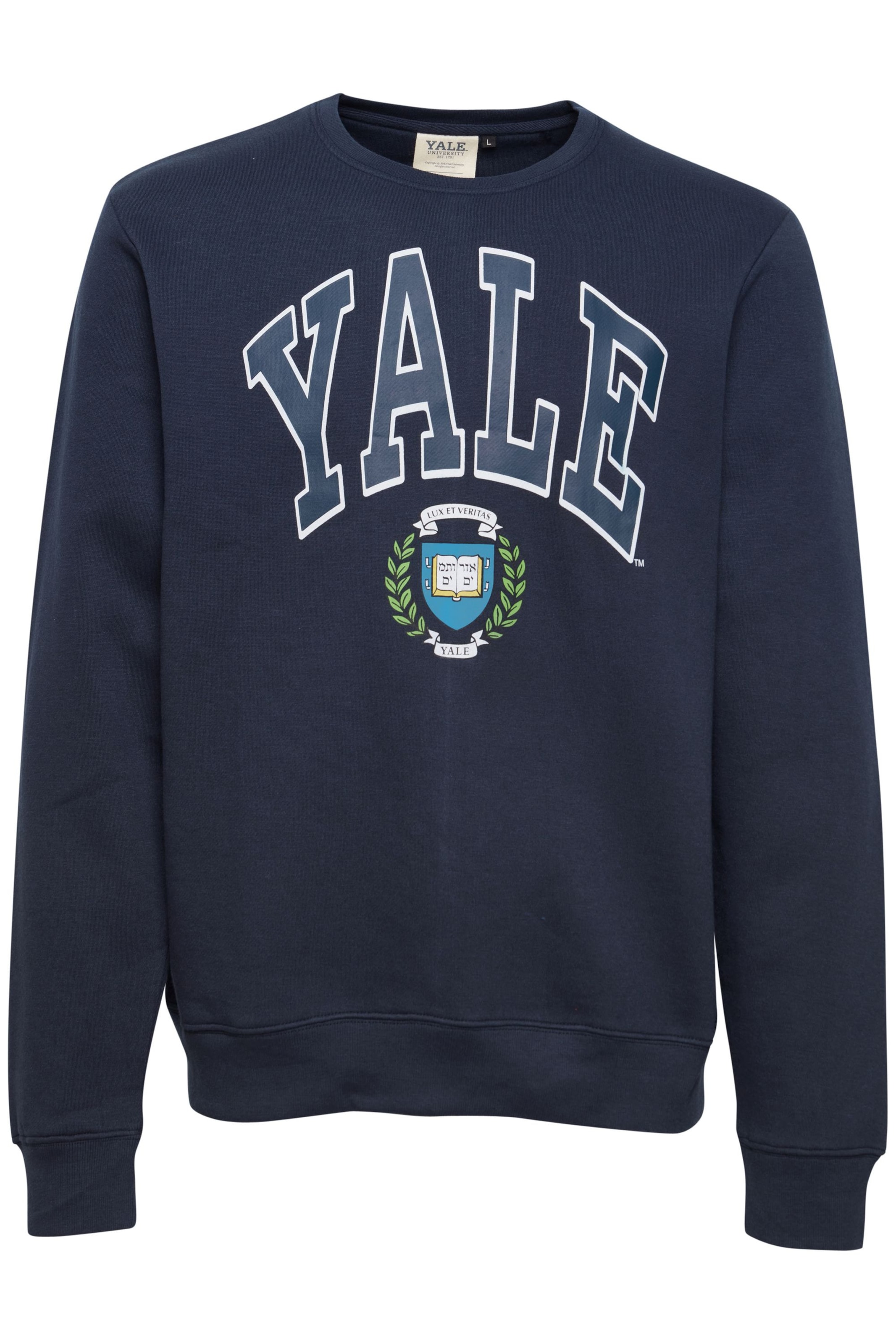 Sweat-shirt BLEND en bleu : devant