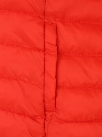 ONLY Carmakoma - Chaqueta de invierno 'TAHOE' en rojo