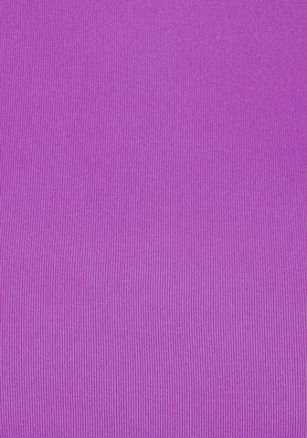 LASCANA Bikini bottom in Purple