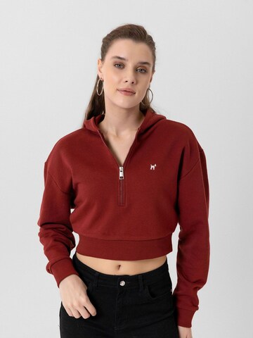 Williot Sweatshirt 'Isabella' in Red