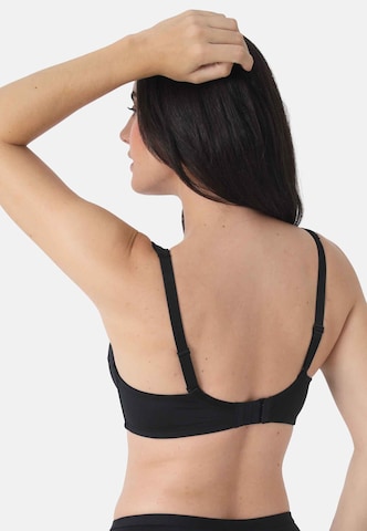sassa Classic Bra in Black