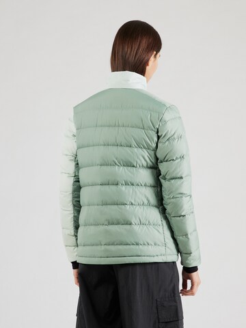 Veste outdoor ADIDAS TERREX en vert