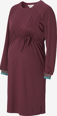 Esprit Maternity Dress in Purple: front