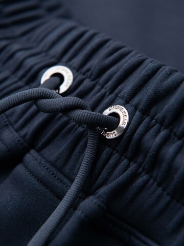 Ombre Regular Trousers in Blue