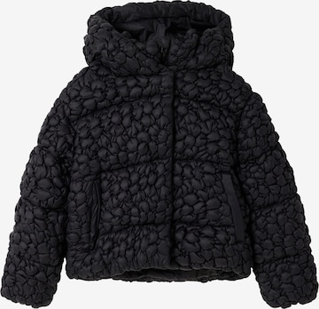 Desigual Зимняя куртка в Черный: спереди