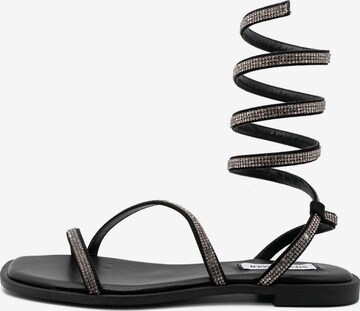 Sandales à lanières 'Azaria' STEVE MADDEN en noir : devant