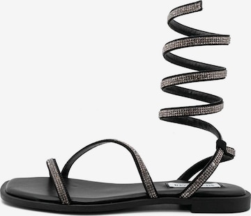 STEVE MADDEN Strap Sandals 'Azaria' in Black: front