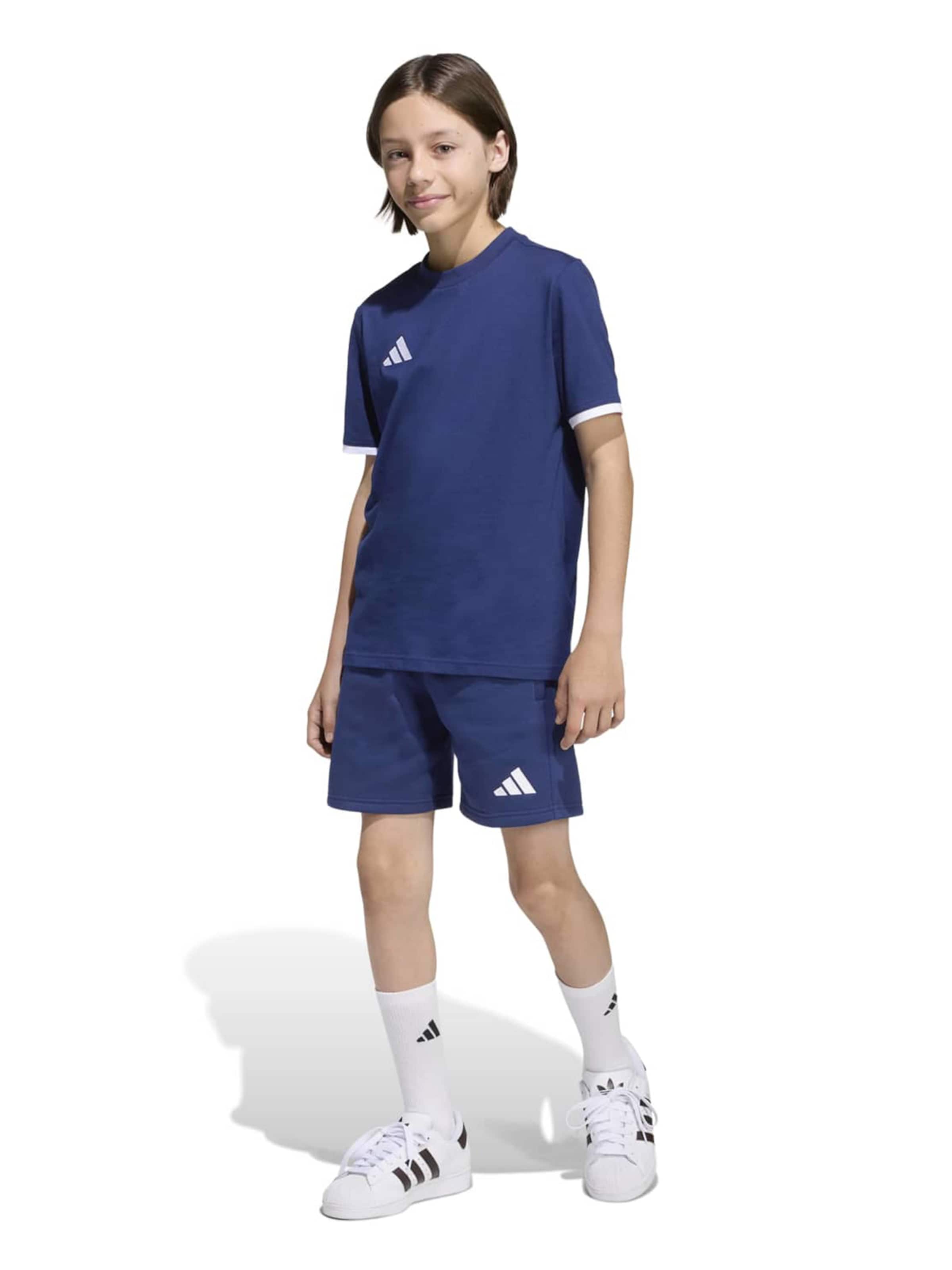 ADIDAS PERFORMANCE regular Παντελόνι φόρμας 'ENT26' σε μπλε