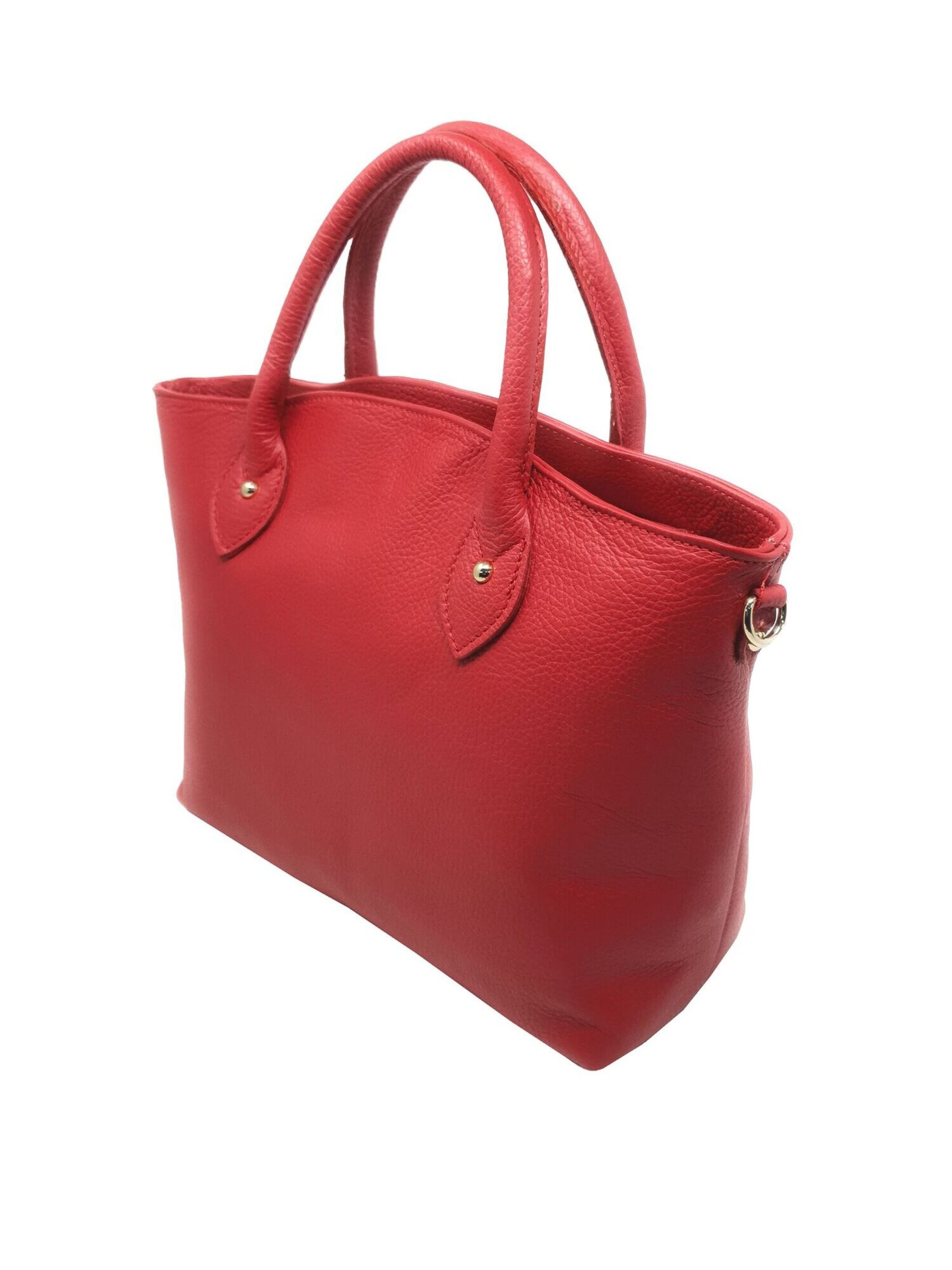 CHICCA BORSE Handbag in Red