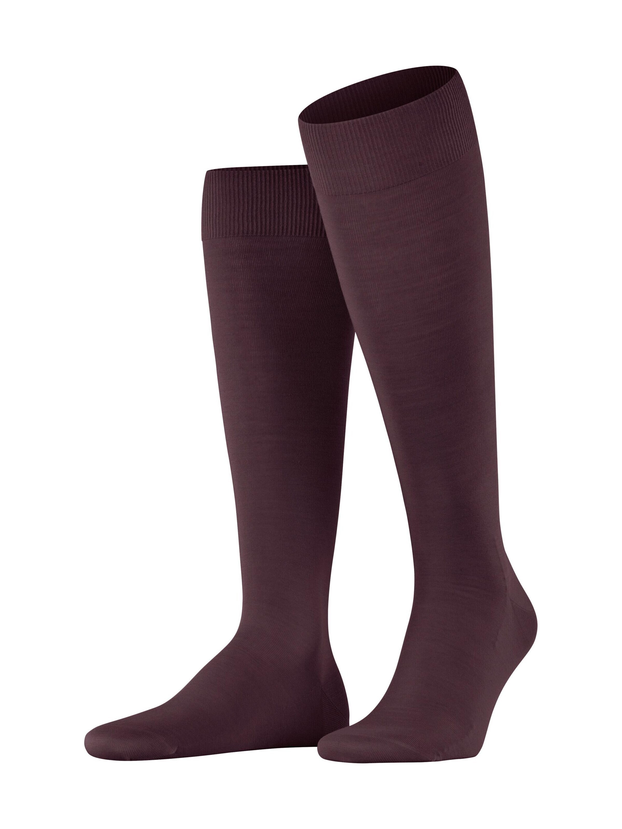 FALKE Kniestrümpfe 'ClimaWool'‌‌‌‌‌‌‌‌‌‌ in Rot: Vorderseite