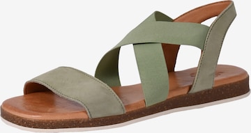 Apple of Eden Sandals ' IRIS ' in Green: front