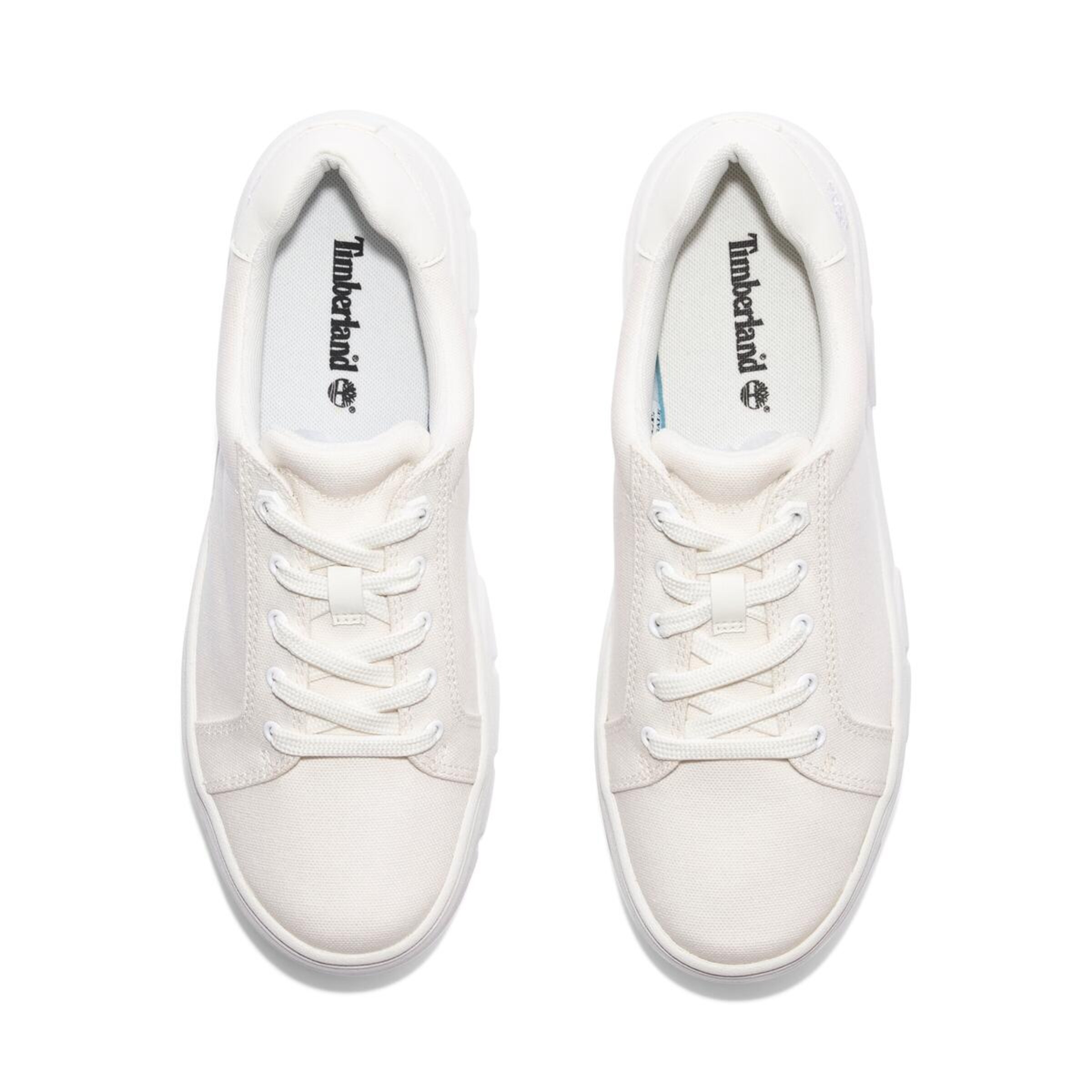 TIMBERLAND Sneakers in White