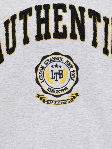 LTB Sweatshirt i grå