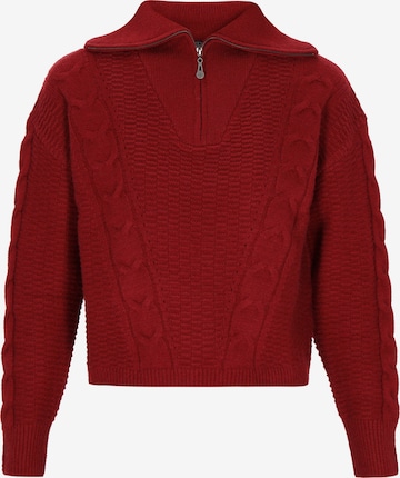 raudona DreiMaster Vintage Megztinis: priekis