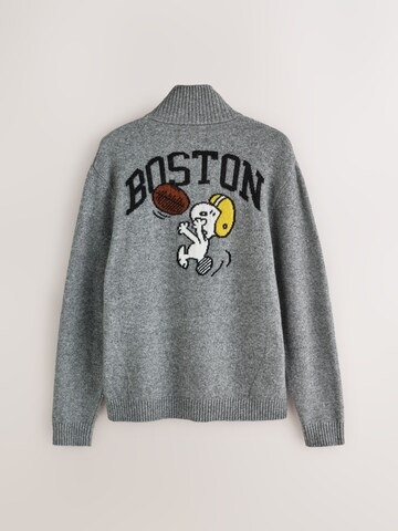 Pull-over Next en gris