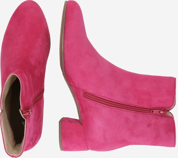 GABOR Ankle Boots in Pink