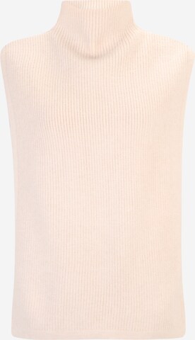 Dorothy Perkins Pullover in Beige: predná strana