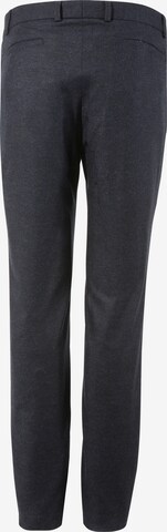 H.Moser Pleated Pants in Blue