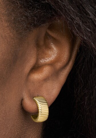 FOSSIL Earrings in Gold