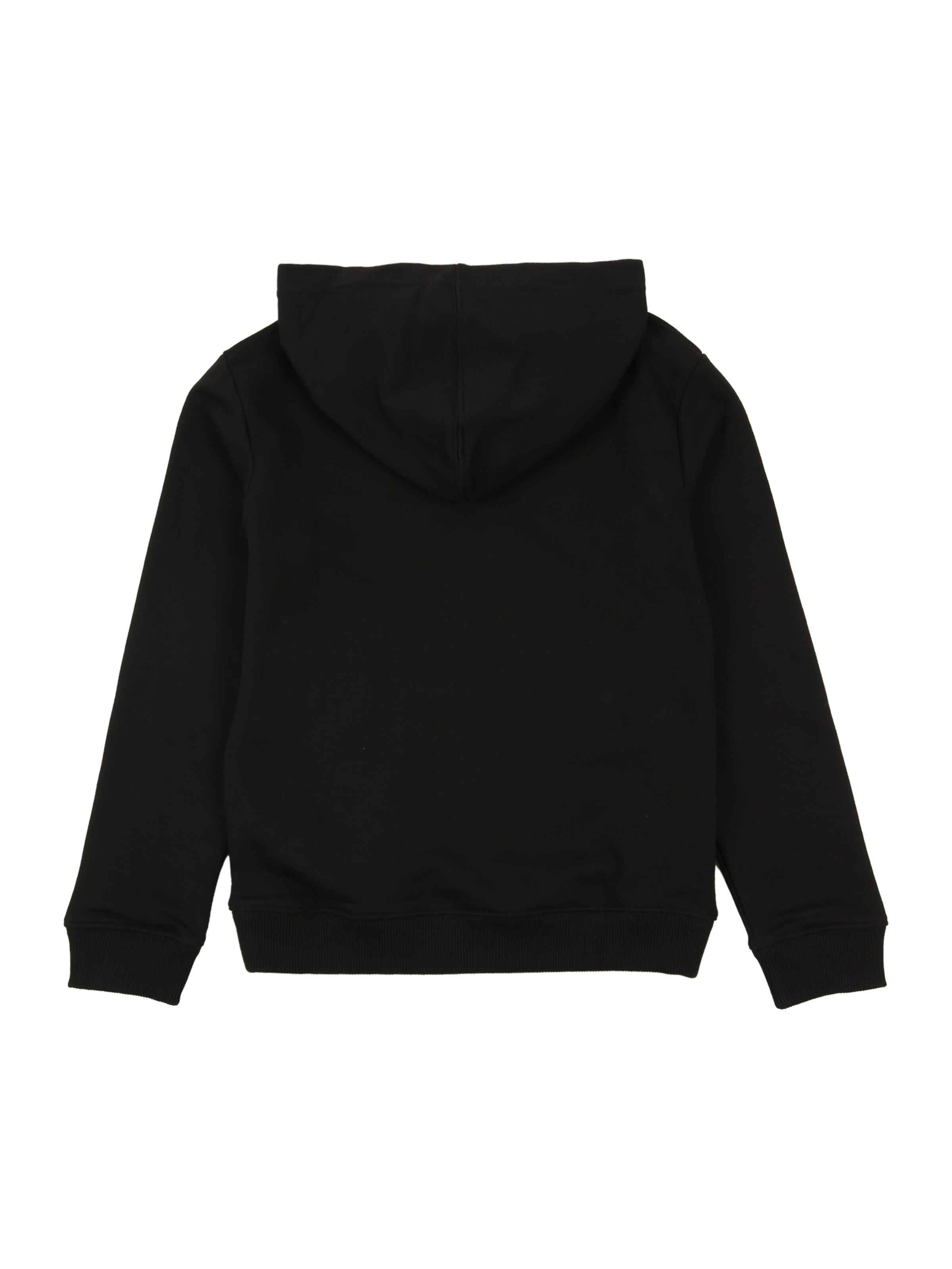 DC Shoes Sports sweatshirt in Black