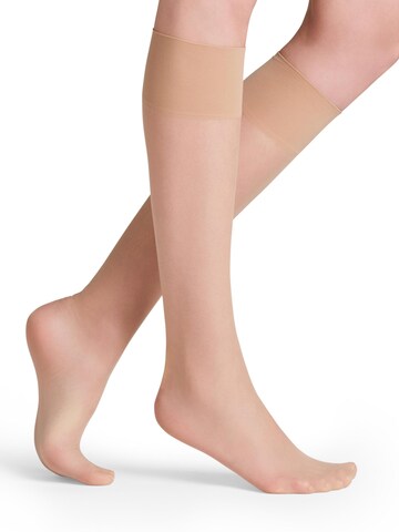 FALKE Knee High Socks 'Seidenglatt' in Beige