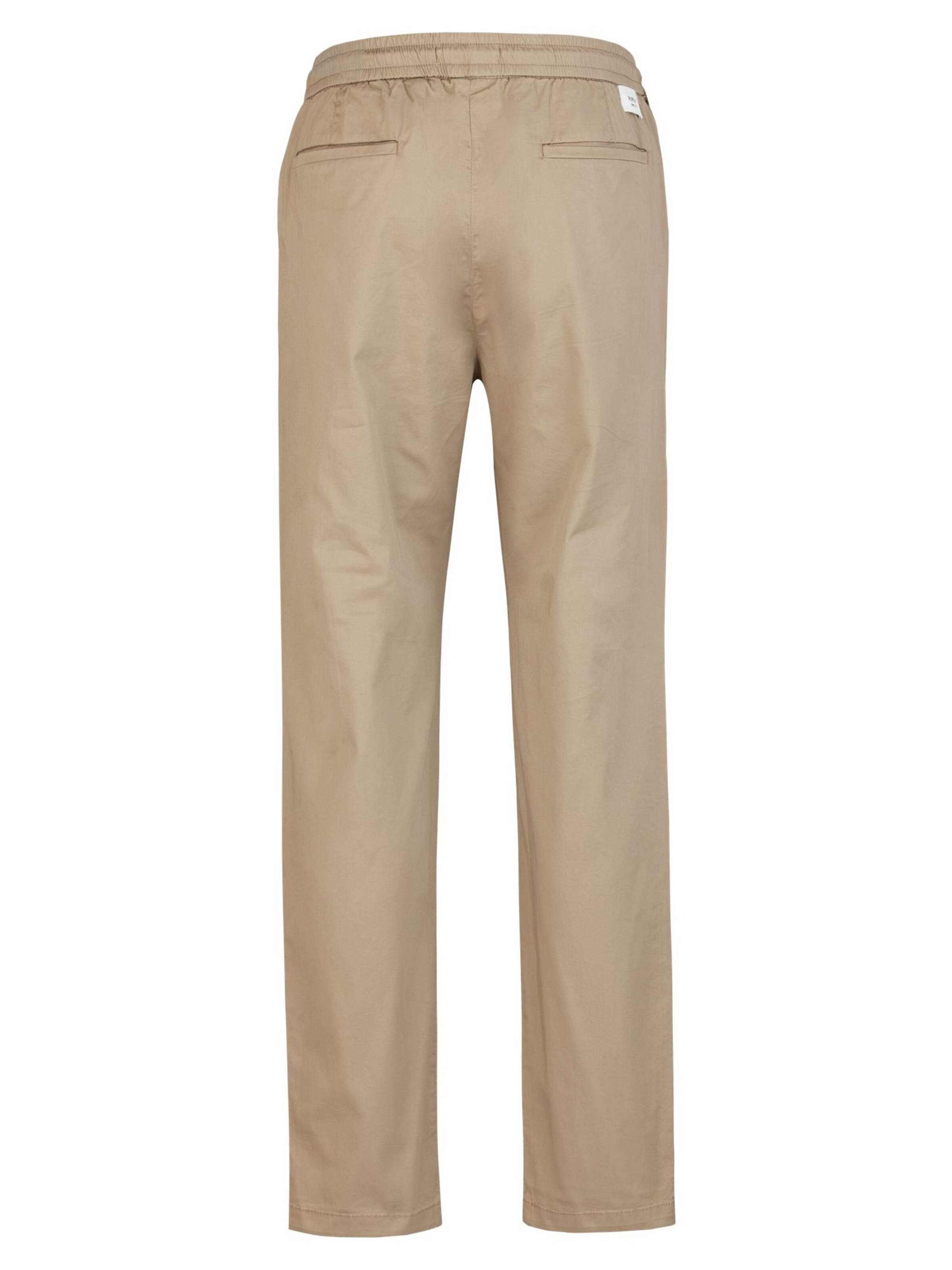 REPLAY Loose fit Pleat-Front Pants in Beige