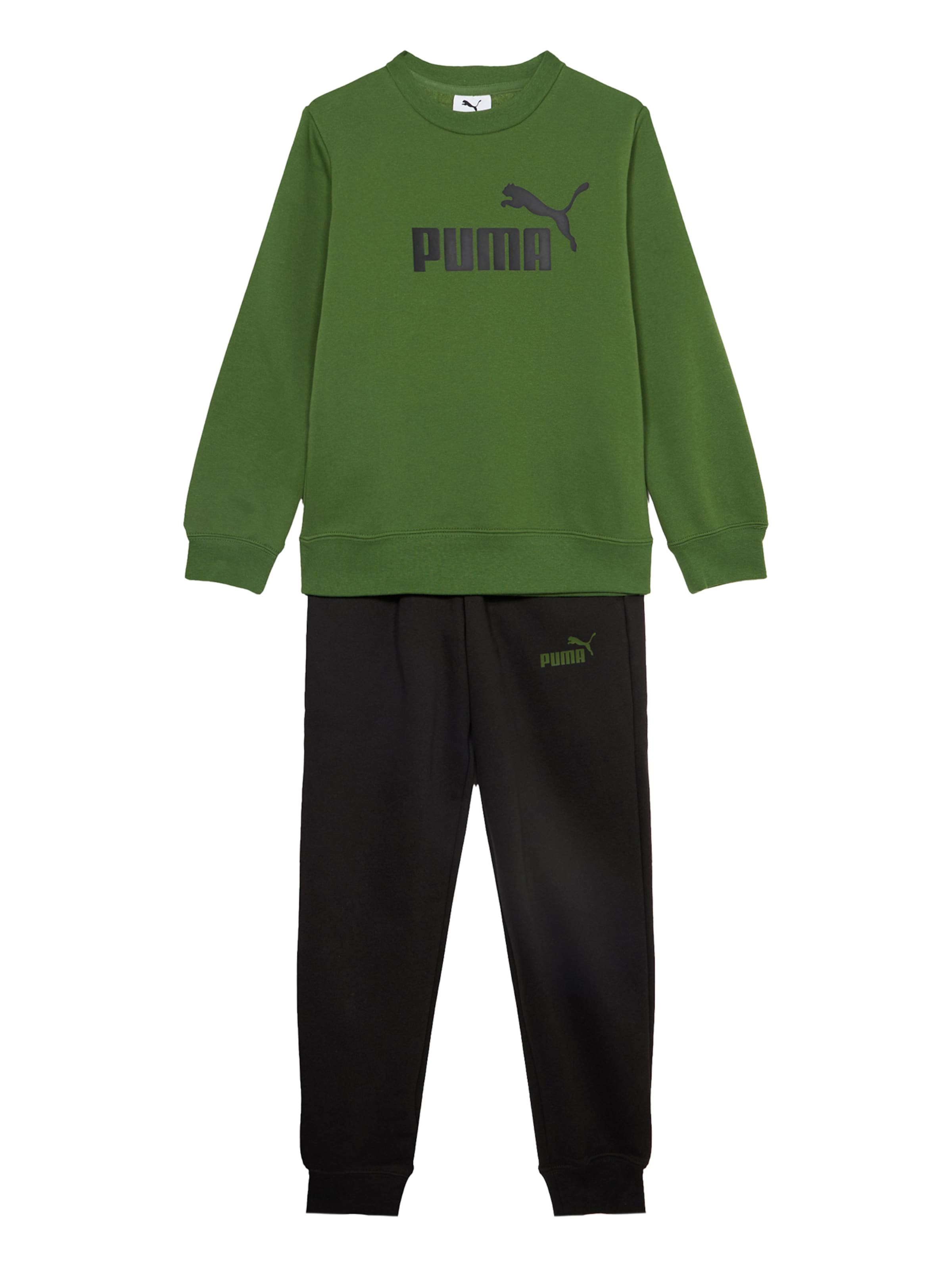 PUMA Sweat suit 'Ess No.1' in Green: front
