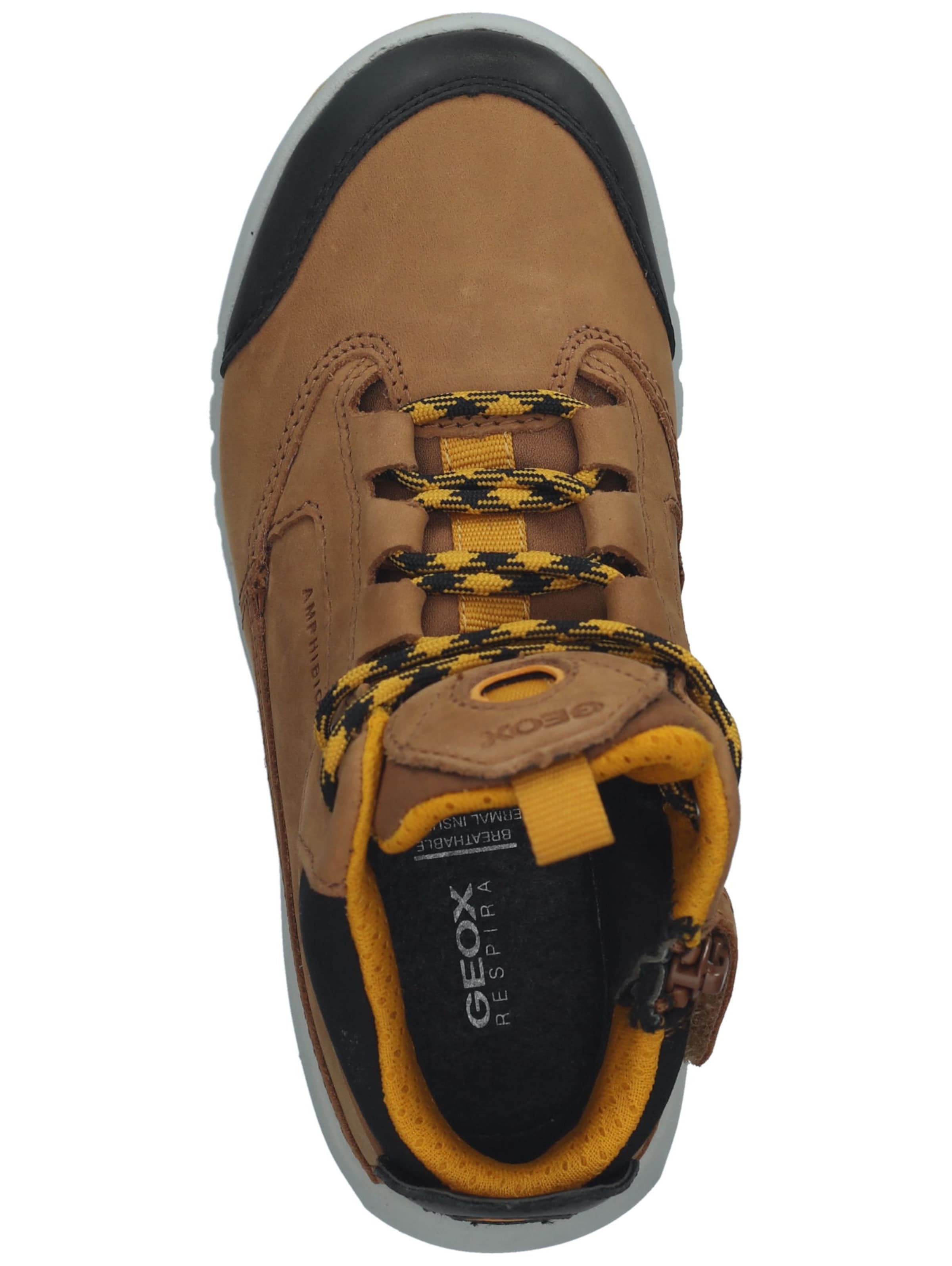 GEOX Stiefel in Braun