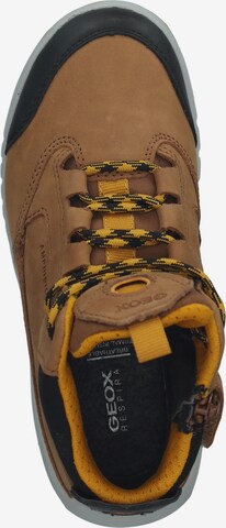 GEOX Stiefel in Braun