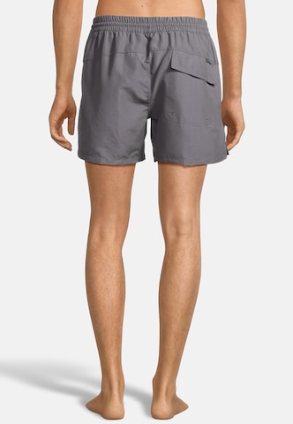 BECO the world of aquasports Swimming shorts 'Nature Vibes' in Grey