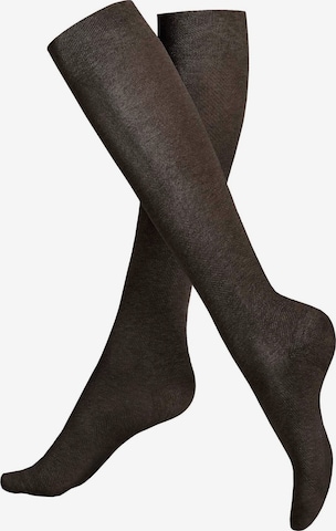 Chaussettes montantes 'Fly&Care®' KUNERT en marron : devant