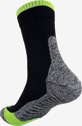 LINDNER SOCKS Sukat 'LINDNER active' värissä harmaa: etupuoli