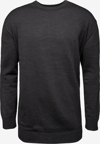Pull-over MAERZ Muenchen en gris : devant